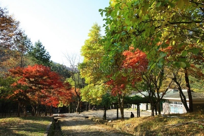 雉岳山国立公園 (16/43)