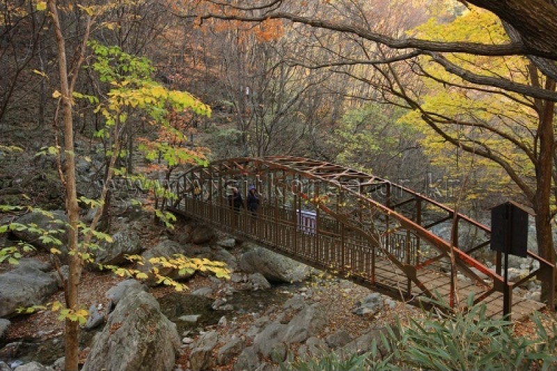 雉岳山国立公園 (18/43)