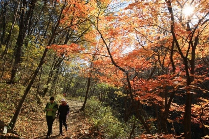 雉岳山国立公園 (19/43)