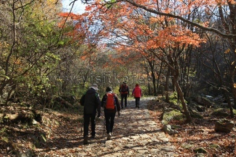 雉岳山国立公園 (21/43)