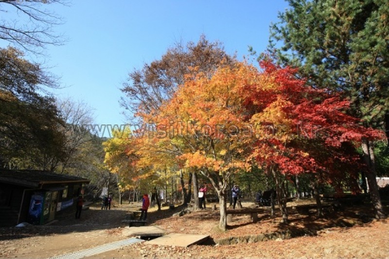 雉岳山国立公園 (22/43)