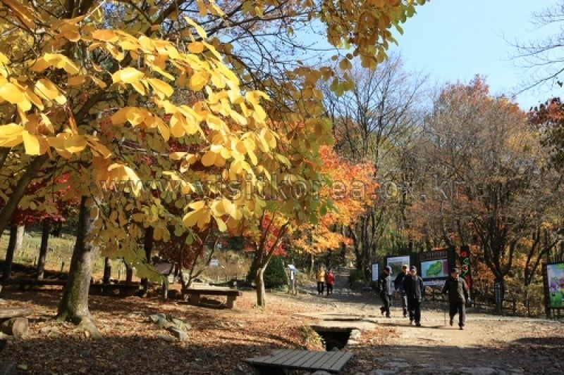 雉岳山国立公園 (23/43)