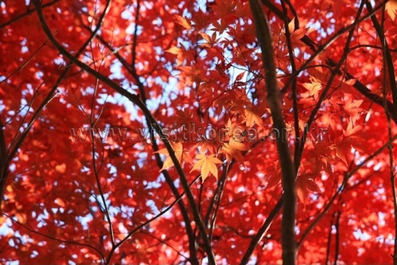雉岳山国立公園 (24/43)