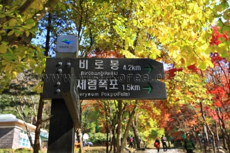 雉岳山国立公園 (25/43)