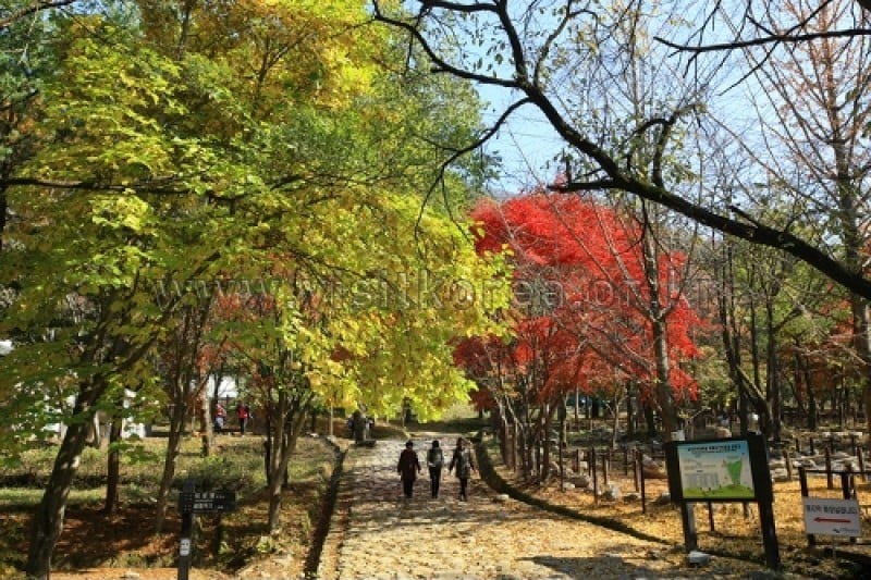 雉岳山国立公園 (26/43)