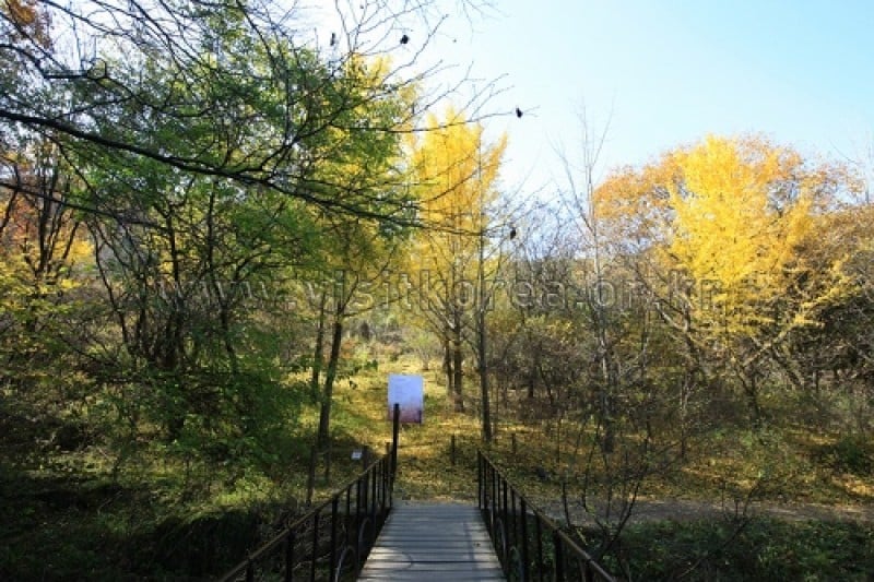 雉岳山国立公園 (27/43)