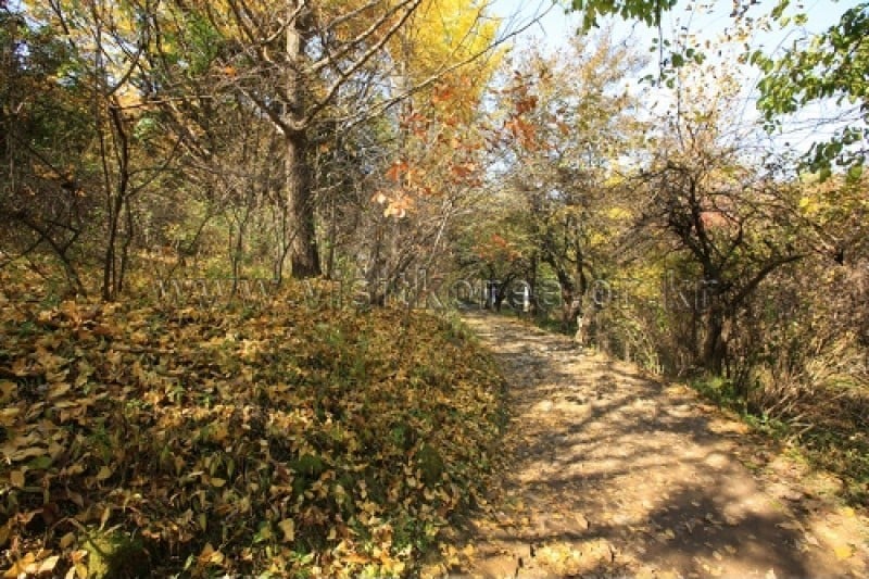 雉岳山国立公園 (28/43)