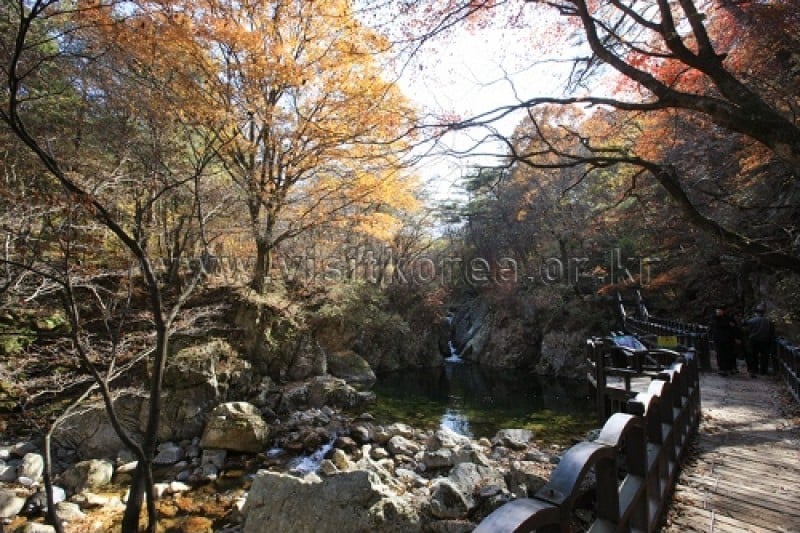 雉岳山国立公園 (29/43)