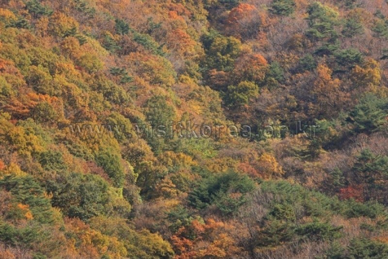雉岳山国立公園 (30/43)
