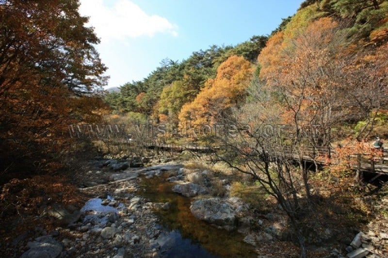 雉岳山国立公園 (33/43)
