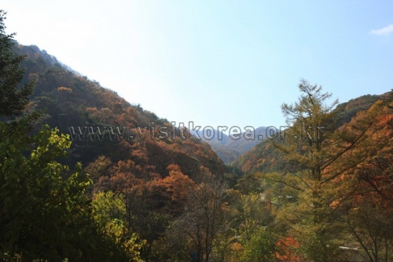 雉岳山国立公園 (37/43)