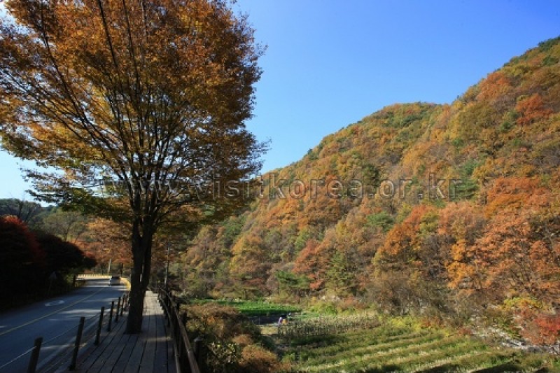 雉岳山国立公園 (39/43)