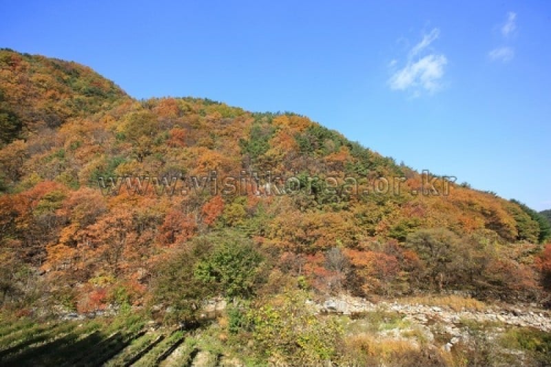 雉岳山国立公園 (40/43)