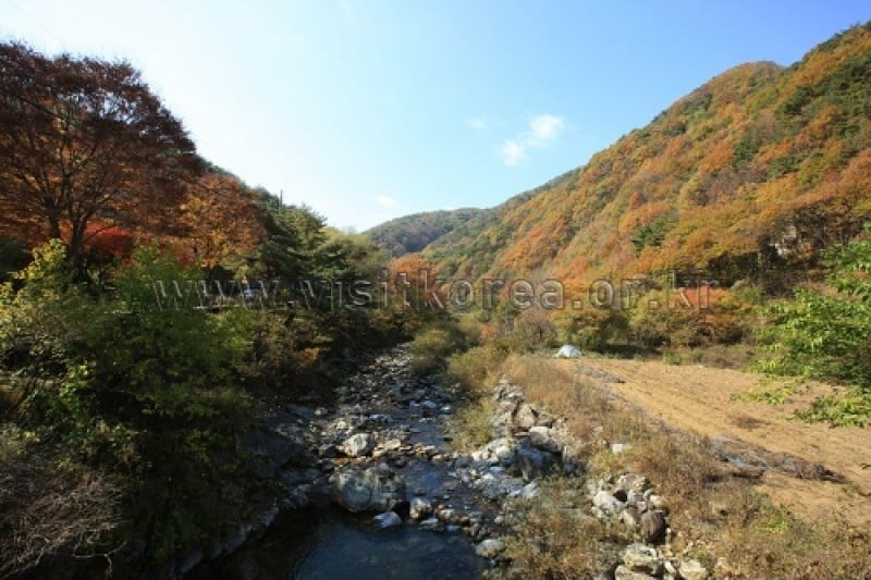 雉岳山国立公園 (41/43)