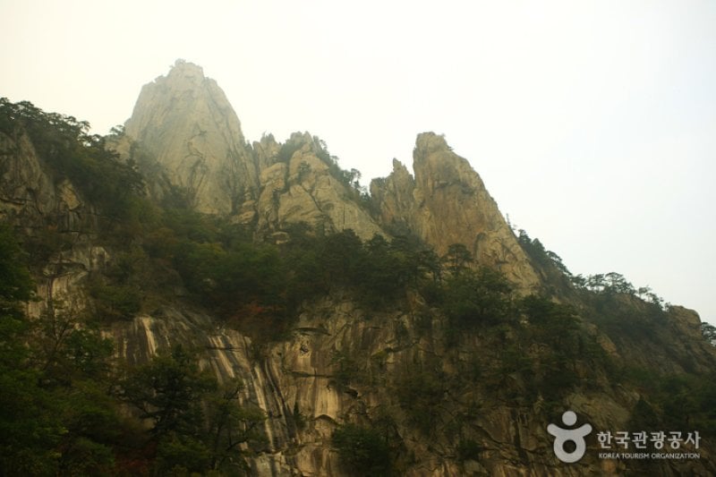 飛仙台 (7/7)
