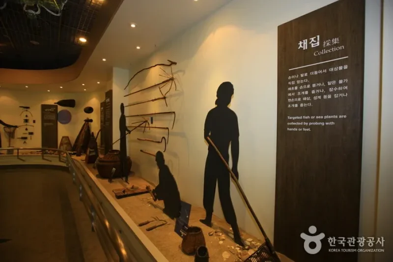 束草市立博物館 (9/20)