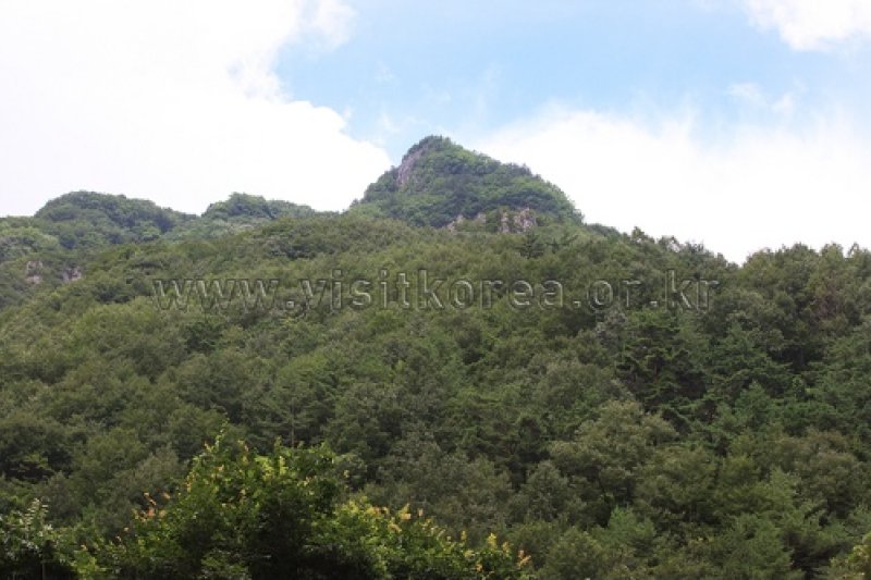 徳項山 (7/13)