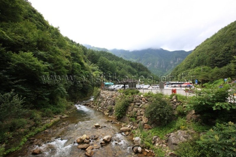 徳項山 (13/13)