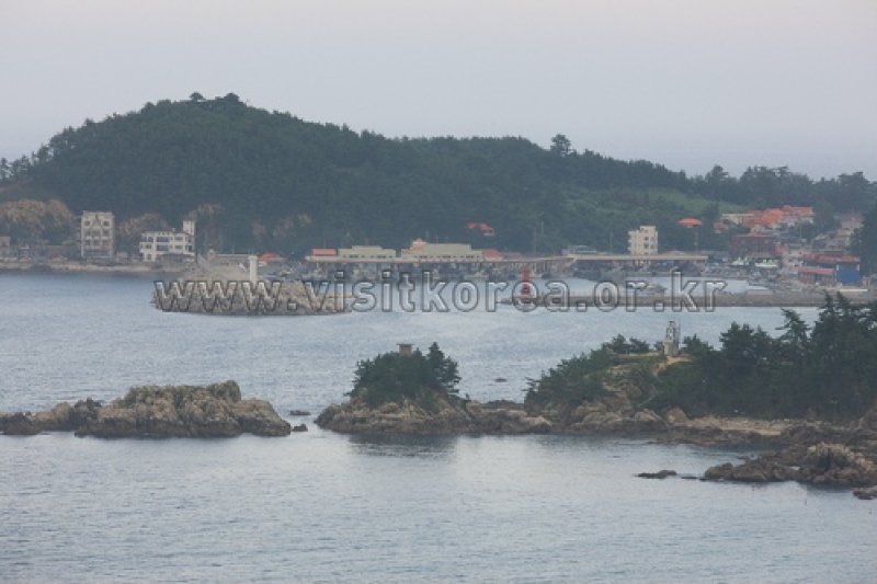 龍化海岸 (2/11)