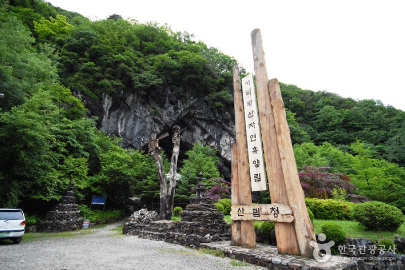 国立加里王山自然休養林 (7/20)