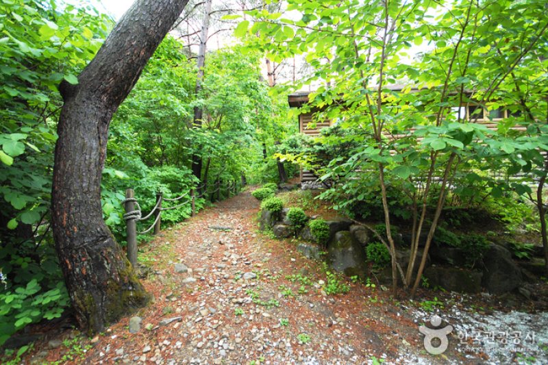 国立加里王山自然休養林 (18/20)