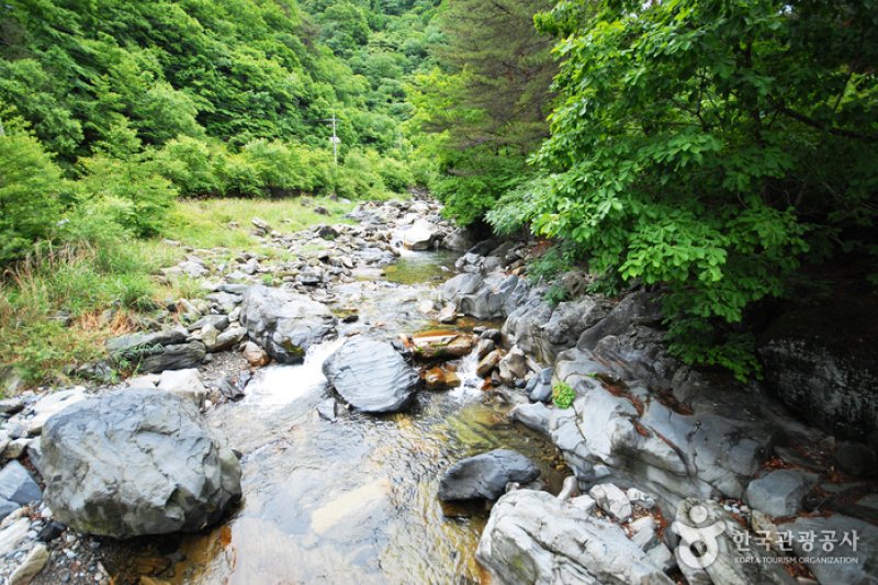 国立加里王山自然休養林 (19/20)