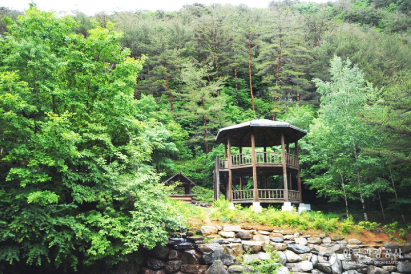 国立加里王山自然休養林 (20/20)