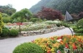 アチムゴヨ韓半島の野生の花展