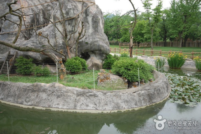 ソウル大公園子ども動物園 (1/6)