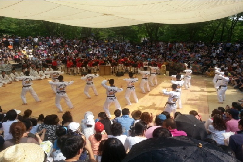 韓国民俗村ハンガウィ大祭り (4/12)