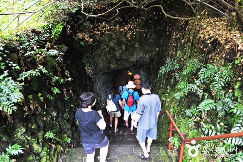 挟才窟(翰林公園) (2/5)