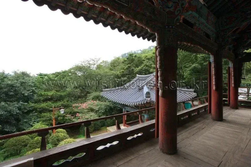 天恩寺（三陟）(천은사(삼척)) (5/24)