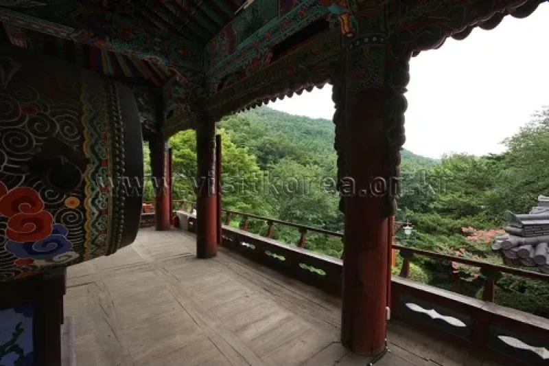 天恩寺（三陟）(천은사(삼척)) (17/24)
