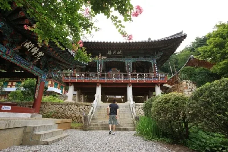 天恩寺（三陟）(천은사(삼척)) (23/24)
