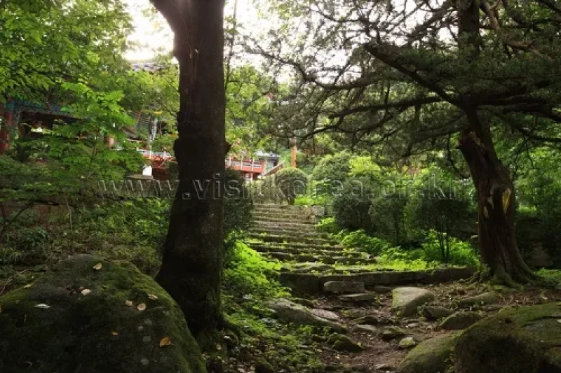 天恩寺（三陟）(천은사(삼척)) (24/24)