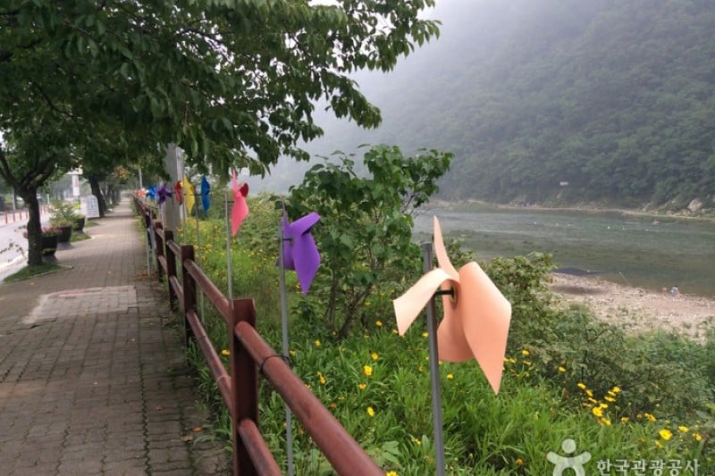 洪川江 (4/4)