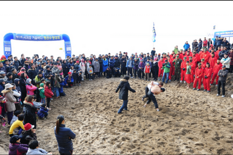 西帰浦冬海ペンギン水泳大会 (1/10)