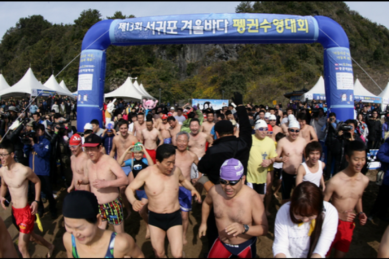 西帰浦冬海ペンギン水泳大会 (2/10)