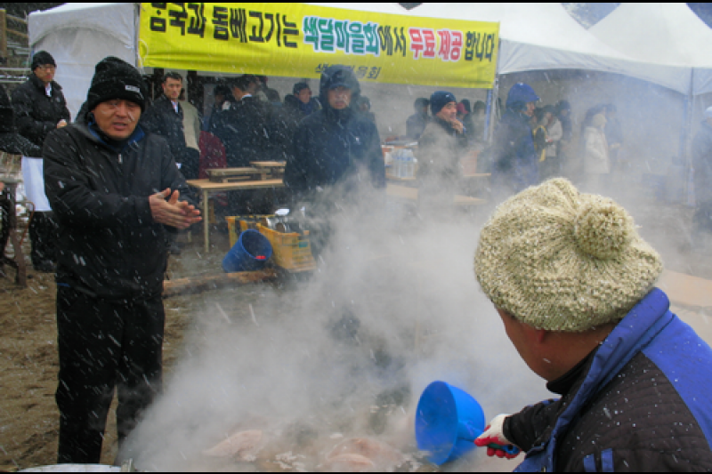 西帰浦冬海ペンギン水泳大会 (4/10)