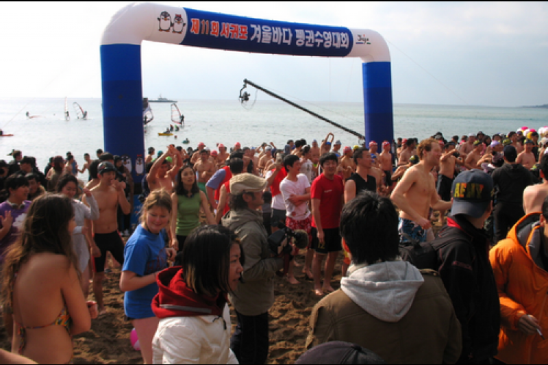 西帰浦冬海ペンギン水泳大会 (8/10)