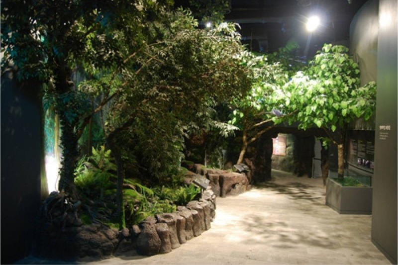 済州世界自然遺産センター (4/12)