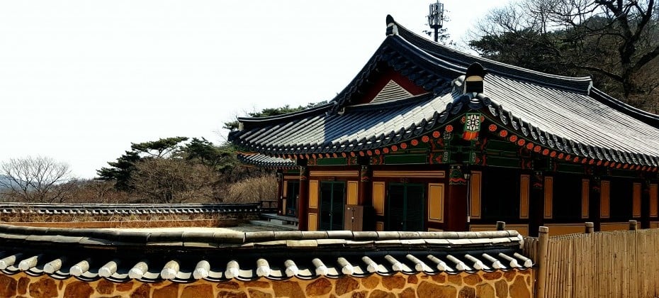 伝燈寺テンプルステイ (10/19)