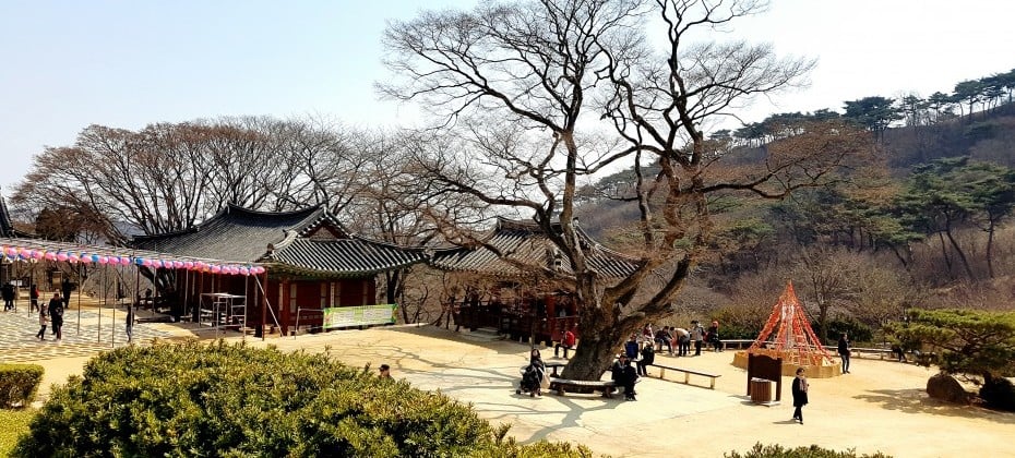 伝燈寺テンプルステイ (16/19)