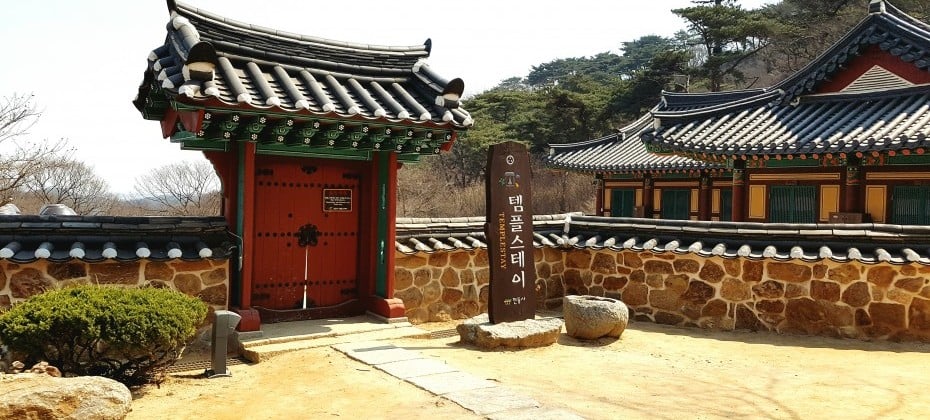 伝燈寺テンプルステイ (17/19)