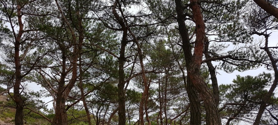 北漢山国立公園 (17/48)