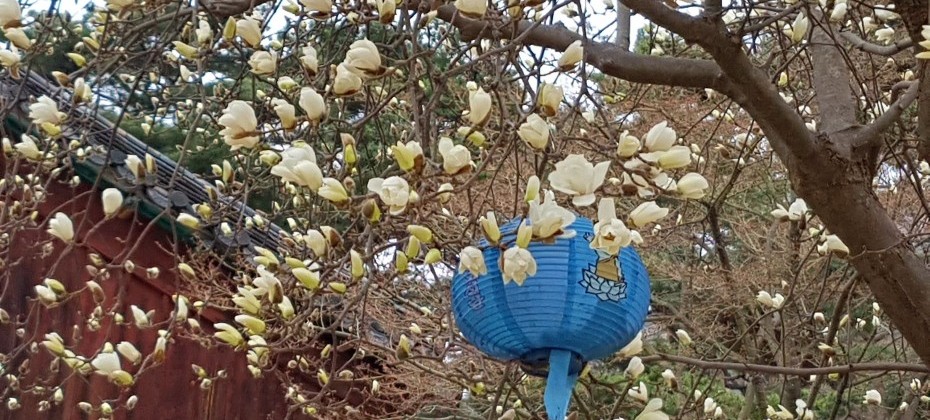 北漢山国立公園 (23/48)