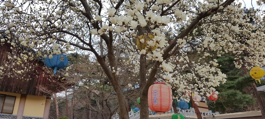 北漢山国立公園 (28/48)