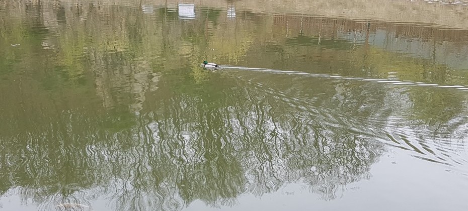 北漢山国立公園 (29/48)