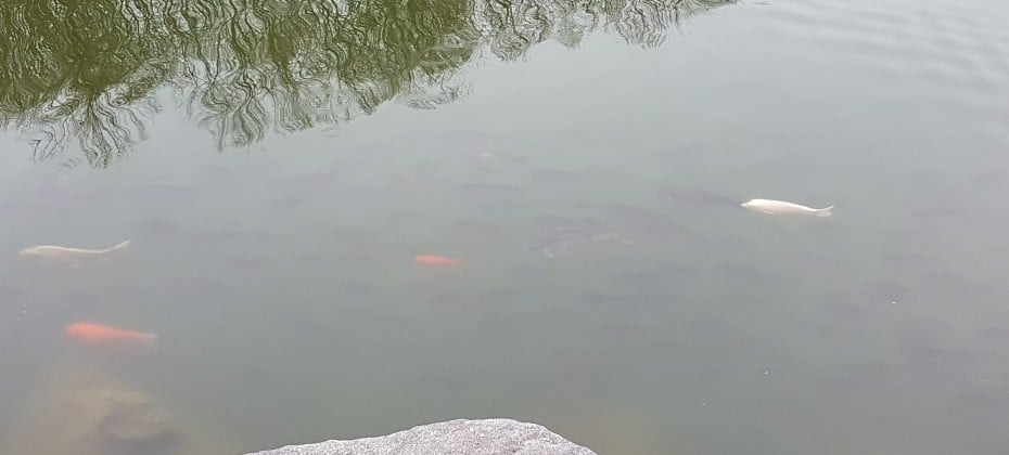 北漢山国立公園 (30/48)