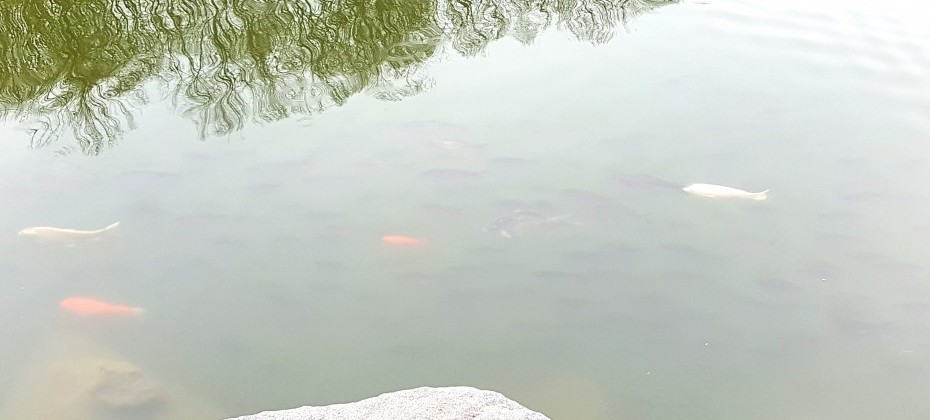 北漢山国立公園 (34/48)